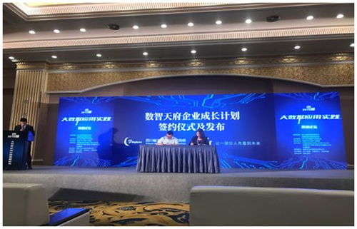 四川省大数据产业联合会2019年度十大新闻