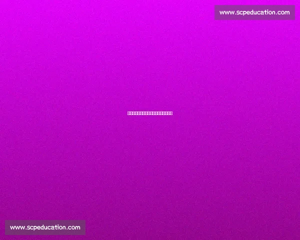 网球新星崛起引领年轻力量重塑赛场风云