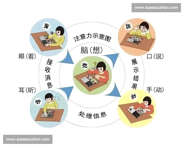 高度集中注意力的技巧与方法全面提升学习和工作效率的实用指南 高度集中注意力的技巧与方法全面提升学习和工作效率的实用指南